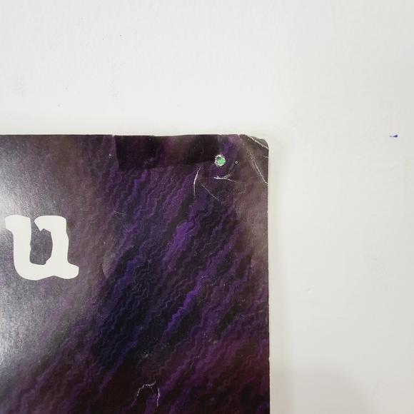 Vintage Original 1999 WWF / WWE The Rock poster by Funky. - Picture 5 of 9